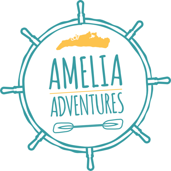 Amelia Adventures