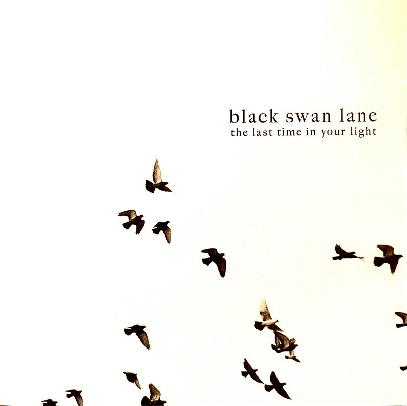 The Last Time In Your Light
