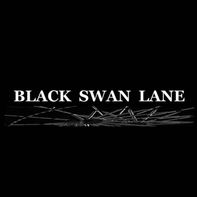 DONATE TO BLACK SWAN LANE