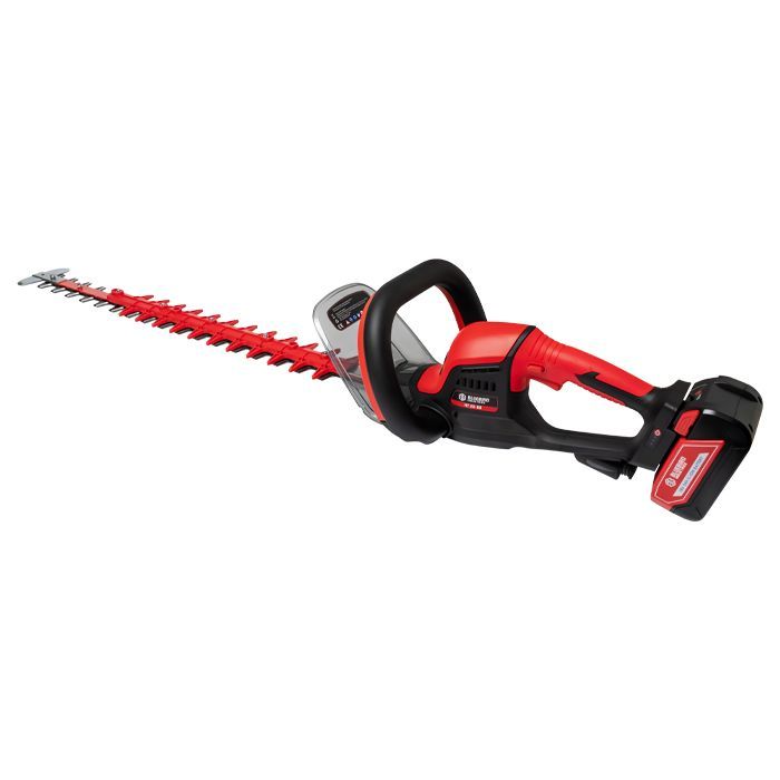 TAGLIASIEPI BATTERIA BLUE BIRD HT 22-60