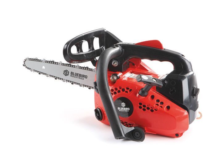 MOTOSEGA CS250 BLUE BIRD 25,4CC CARVING