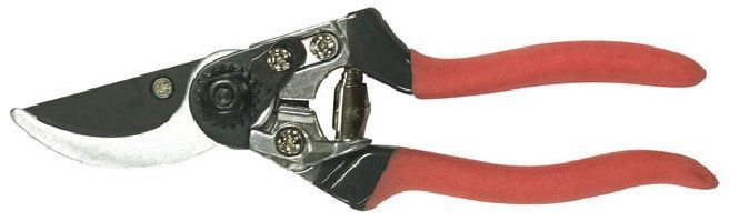 FORBICE AXEL ECON. GA-0510