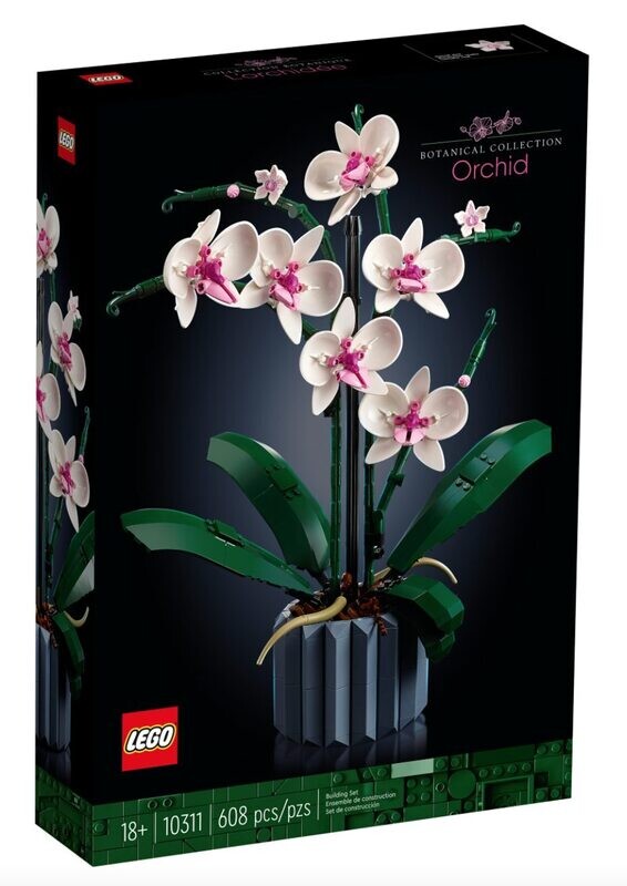 Orchidea
