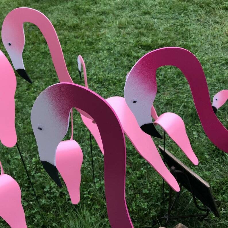 Birds - Hot Pink