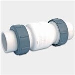 Check Valve 2In Union /Flap