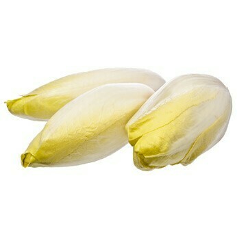 Endive de terre. France. 500 grammes environ Endive de terre. France. 500 grammes environ