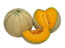 Melon charentais. Maroc. 1 pièce Melon charentais. Maroc. 1 pièce