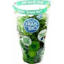 Herbe Menthe en pot BIO. 1 pièce Herbe Menthe en pot BIO. 1 pièce