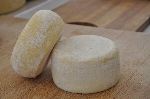 Formaggi