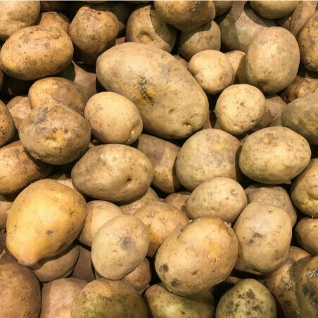Patate di casa (porzioni da 1 kg) Patate di casa (porzioni da 1 kg)