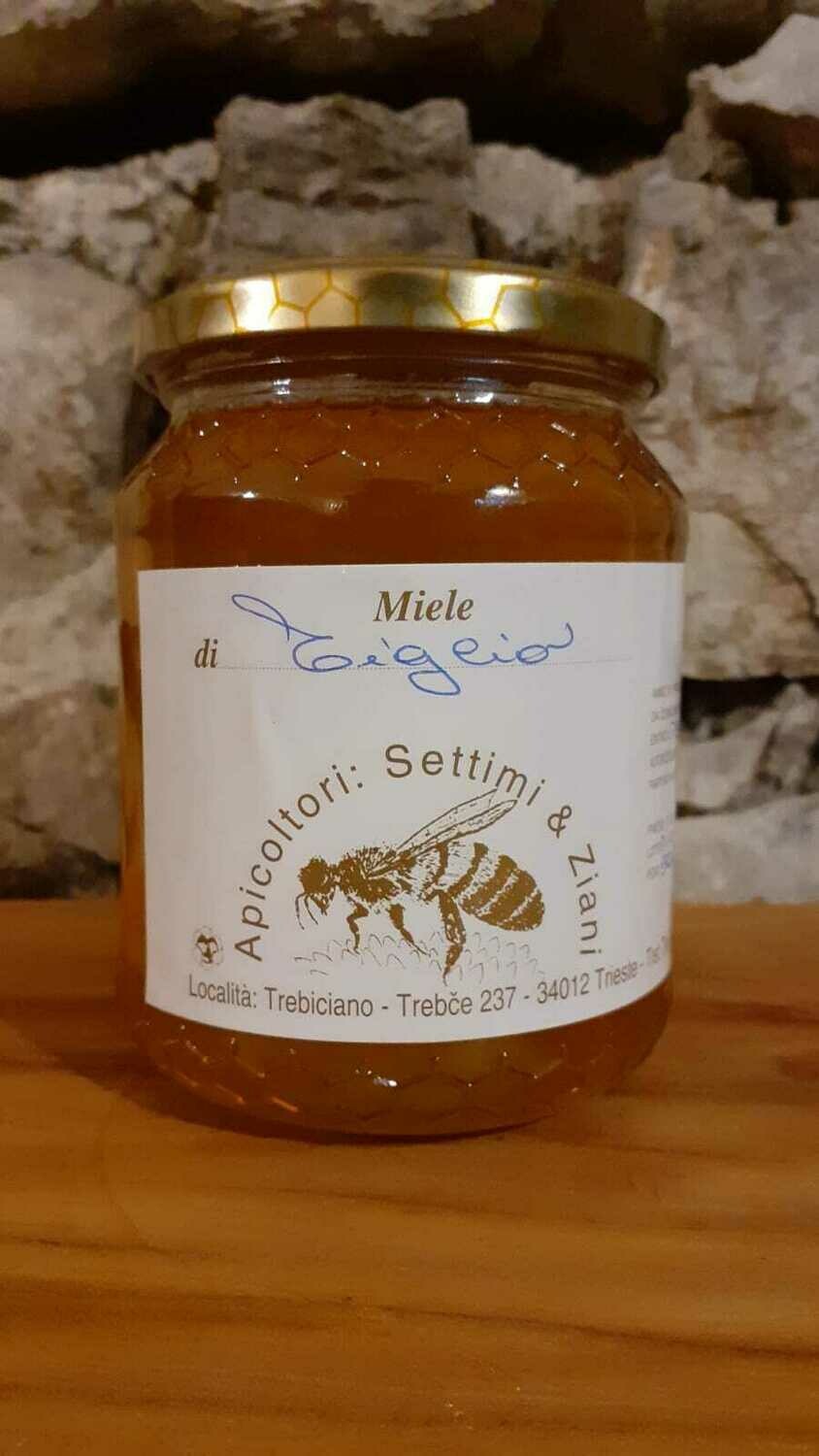 Miele di tiglio (vasetto 500 g) Miele di tiglio (vasetto 500 g)