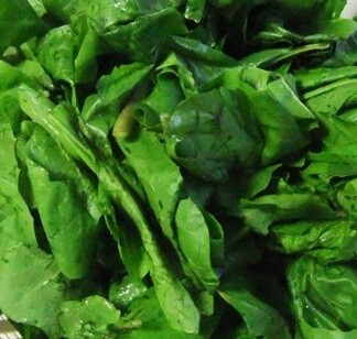 Radicchio (sacchetto 200 grammi) Radicchio (sacchetto 200 grammi)