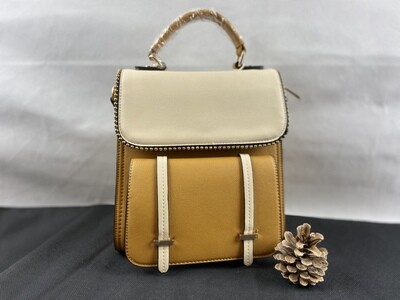 Handbag/backpack