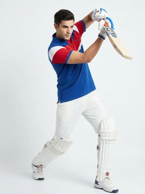 Cricket