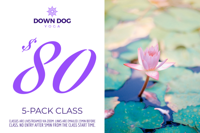 5-Pack Class $80