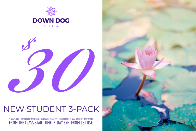 New Student 3-Pack $30