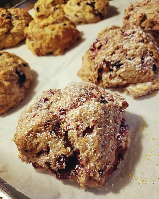 Whole Wheat Scone of the day- minimum order of 4