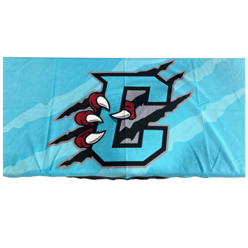 Beach Towel