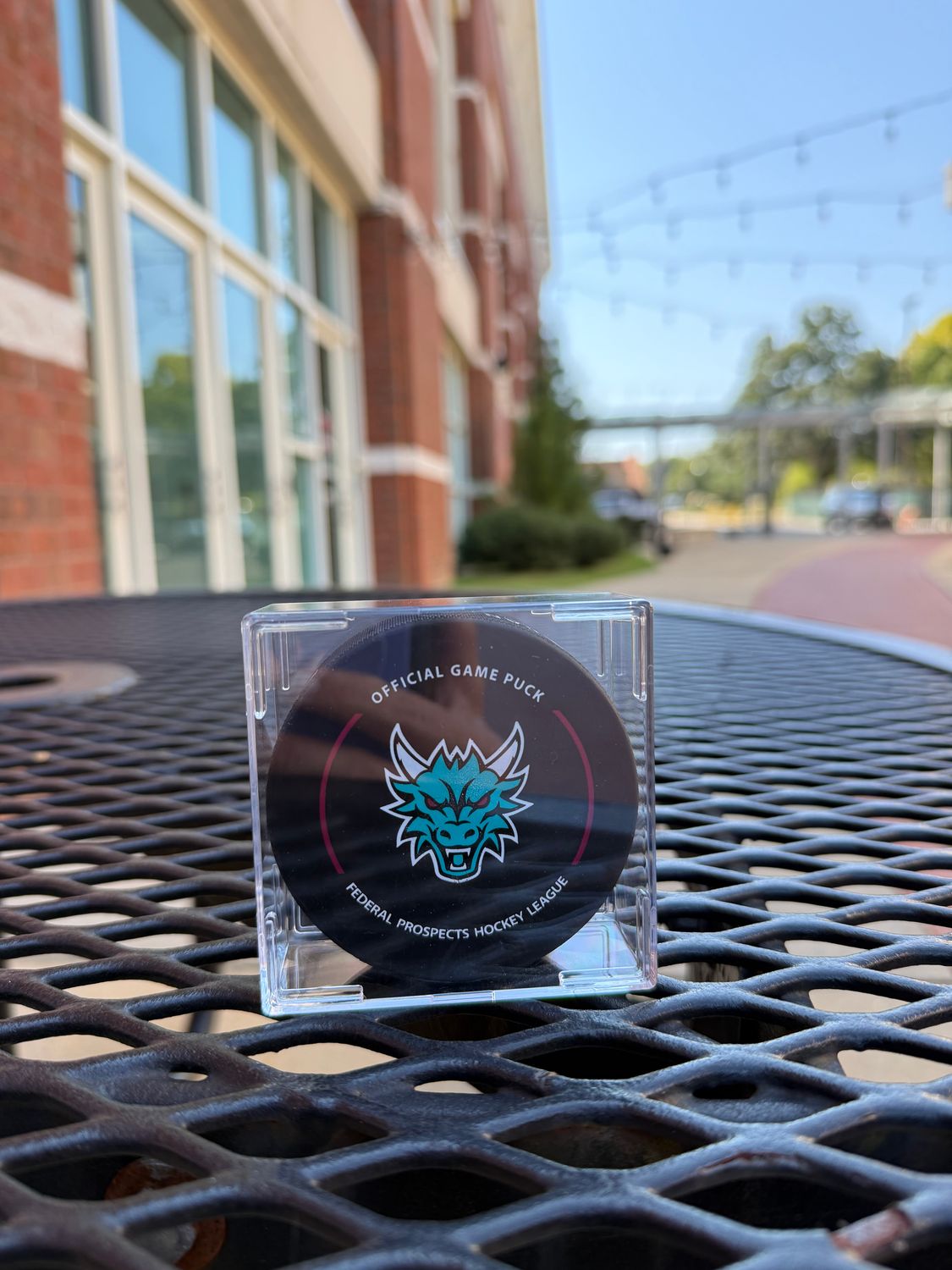 Official Game Puck in Case