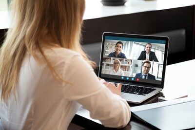 Online/Virtual-20 Hour Risk Reduction Course