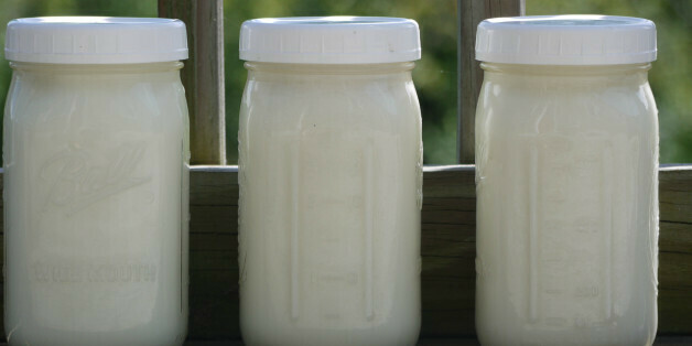 Herd Share - Raw goat milk