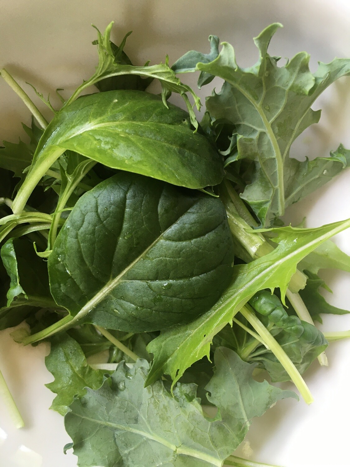 Dandelion Hill Green Mix