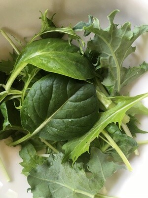 Dandelion Hill Green Mix