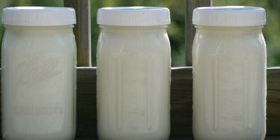Herd Share Raw Goat Milk- 6 months