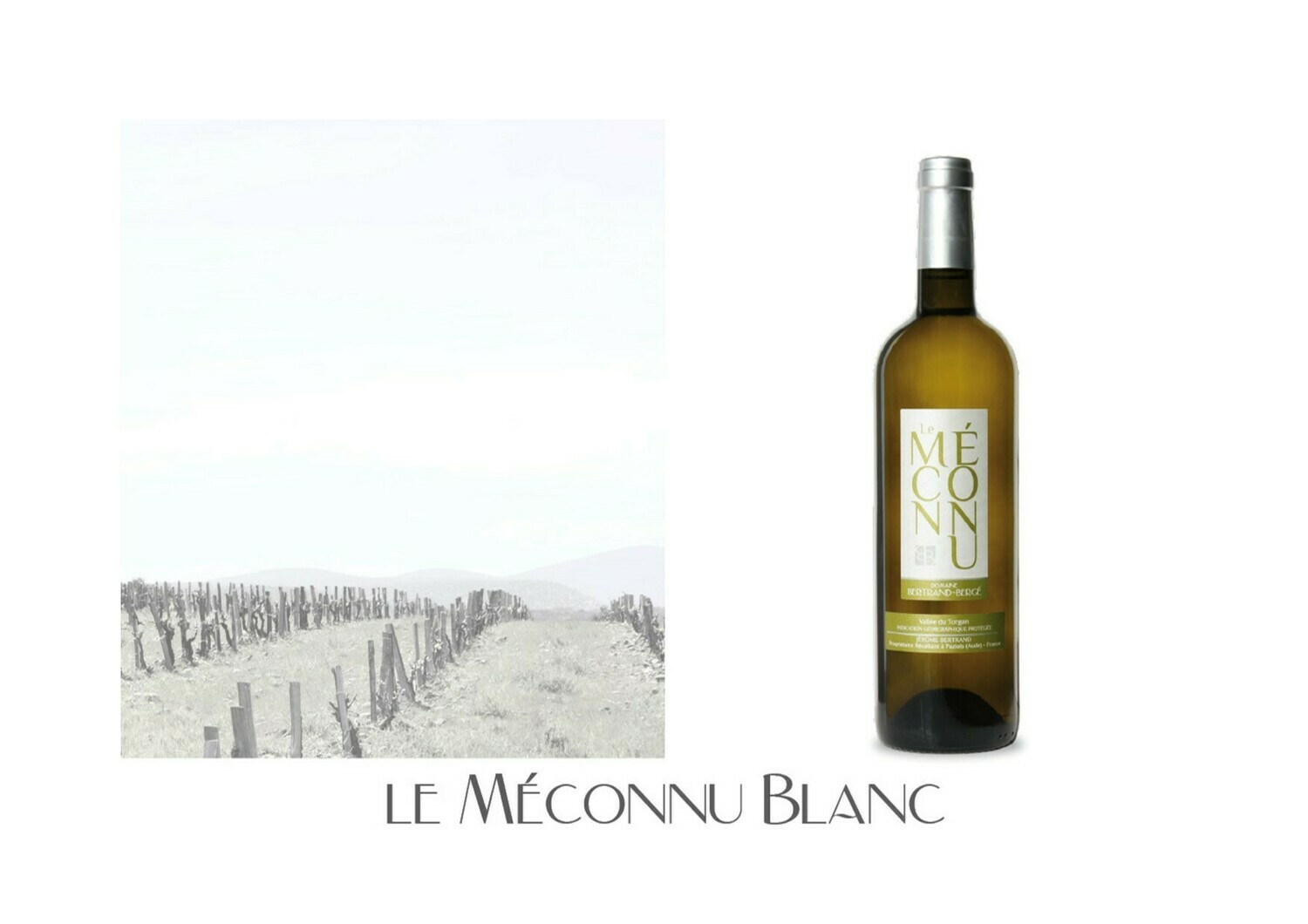 IGP Vallée du Torgan "Le Méconnu Blanc 2023" par 6 bouteilles