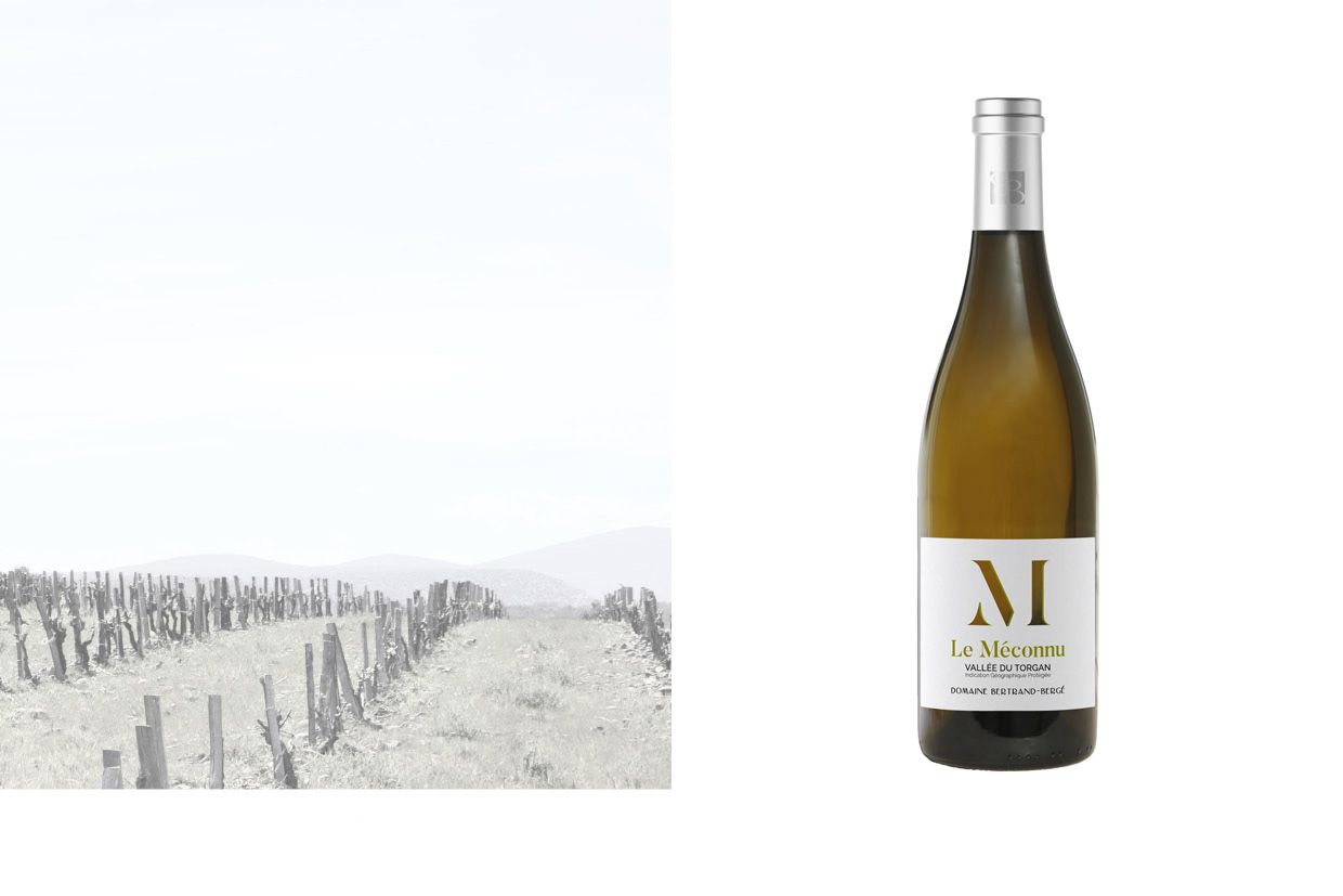 IGP Vallée du Torgan "Le Méconnu Blanc 2025"