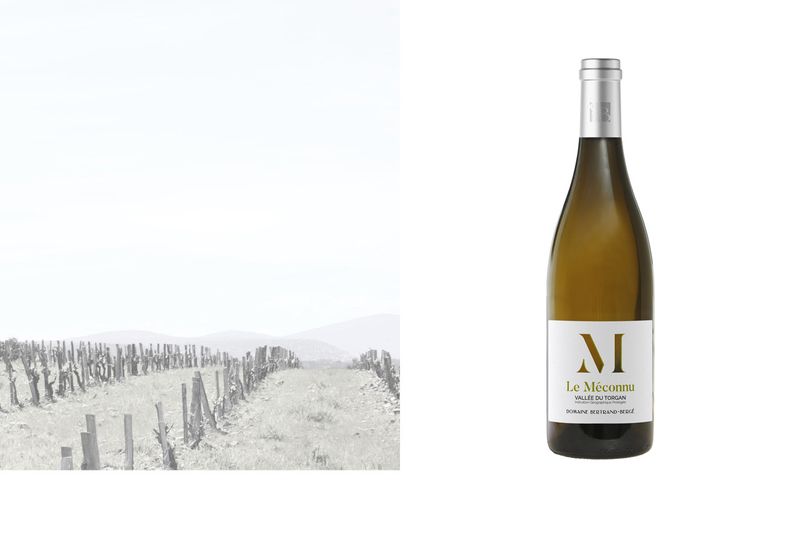 IGP Vallée du Torgan "Le Méconnu Blanc 2025"