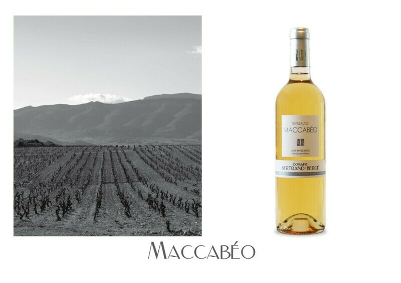 AOP Rivesaltes Ambré Maccabéo en 50cl