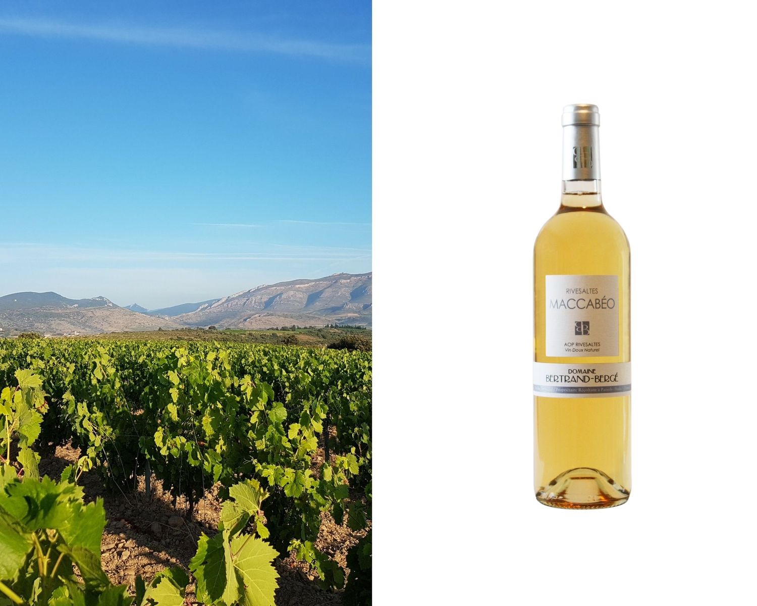 AOP Rivesaltes Ambré Maccabéo en 50cl