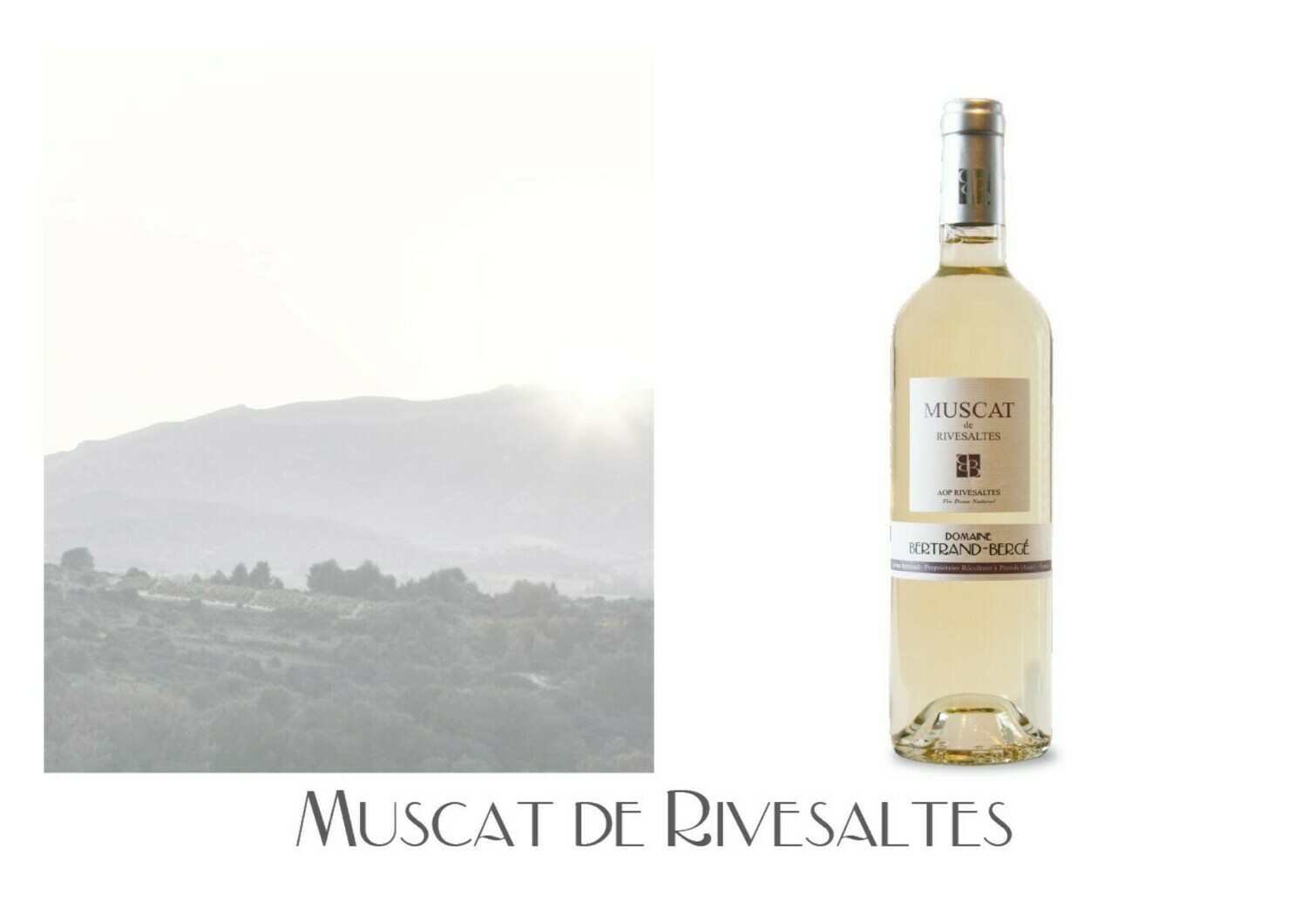 AOP Muscat de Rivesaltes 2025