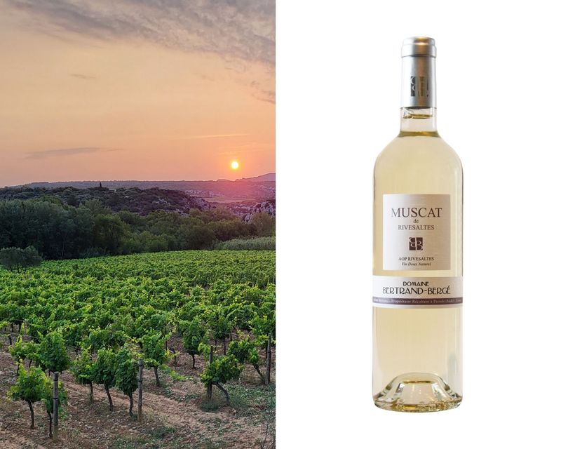 AOP Muscat de Rivesaltes 2025