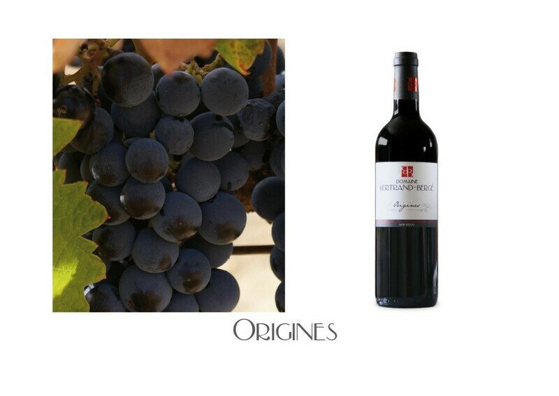 AOP Fitou Origines 2023 par 6 bouteilles