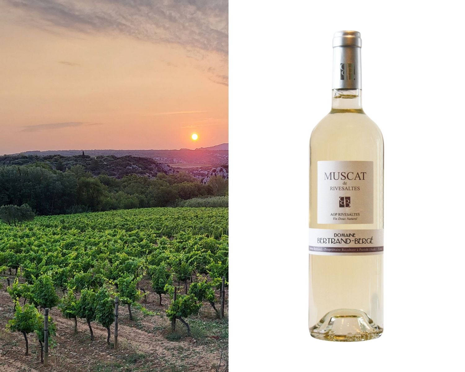 AOP Muscat de Rivesaltes 2025 par 6 bouteilles