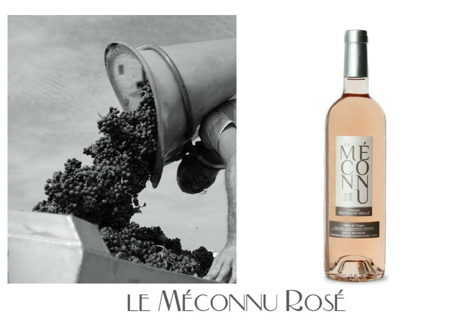IGP Vallée du Torgan "Le Méconnu Rosé 2024" par 6 bouteilles