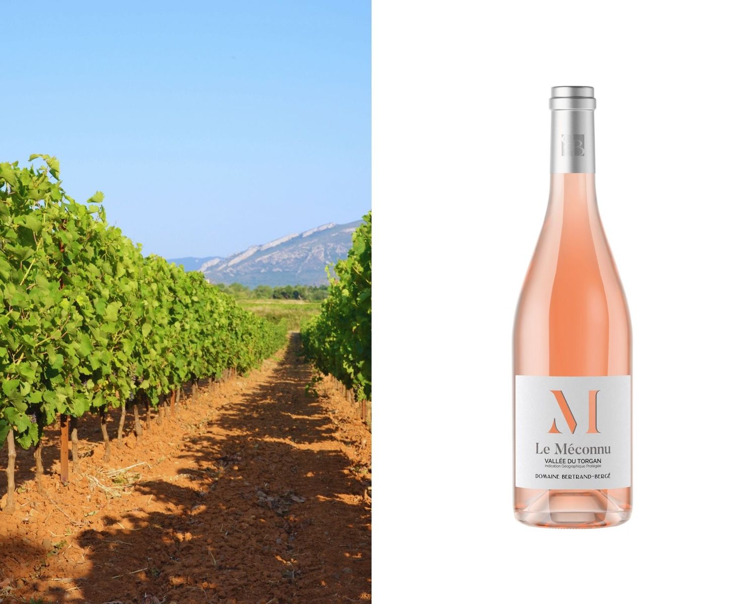 IGP Vallée du Torgan "Le Méconnu Rosé 2025" par 6 bouteilles