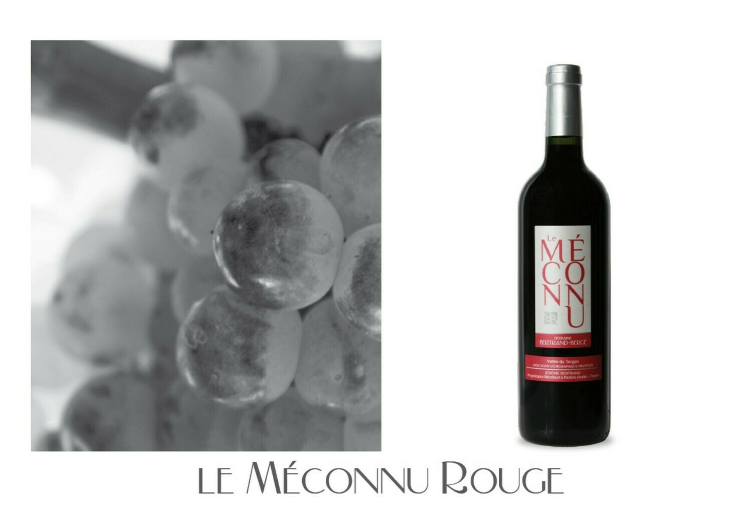 IGP Vallée du Torgan "Le Méconnu Rouge 2023" par 6 bouteilles