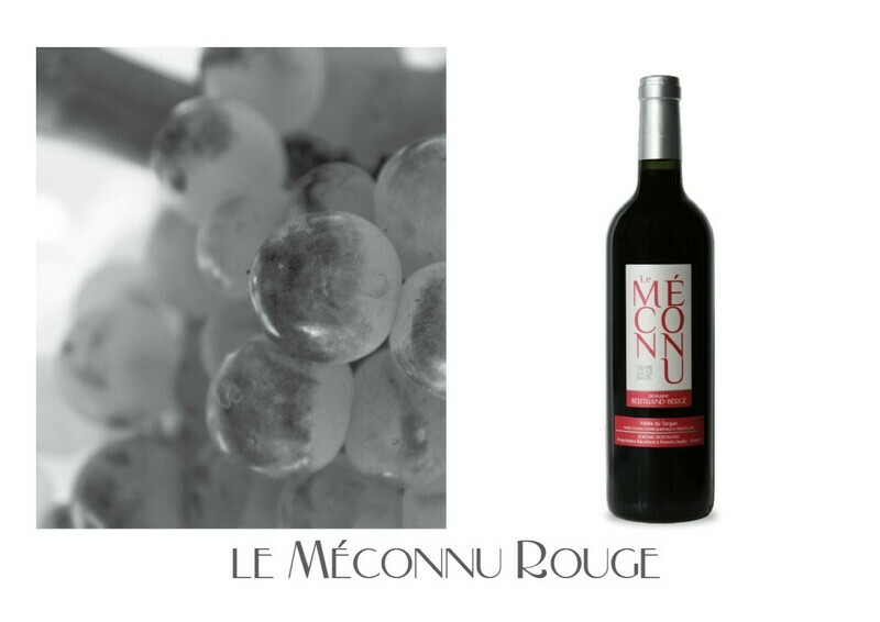 IGP Vallée du Torgan "Le Méconnu Rouge 2023" par 6 bouteilles
