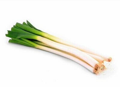 Cebolla Blanca atado