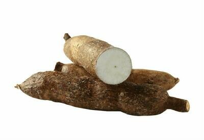 Yuca X1 Unidad