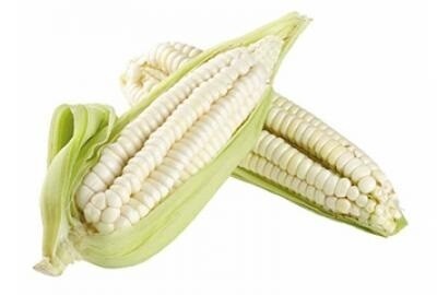 Choclo serrano grande X2 Unidades