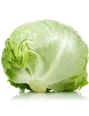 Lechuga Criolla Unidad