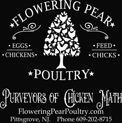 Purveyors of Chicken Math T-shirt.  Adult Summer of 2020