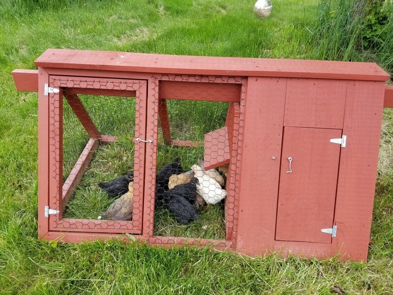 Brooder Coop or Emergency Containment. Single house. Red