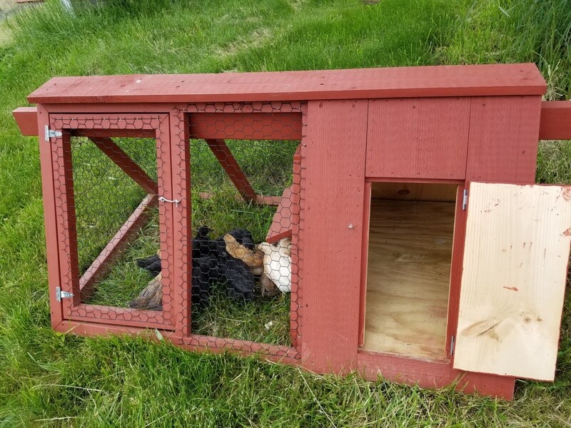 Brooder Coop or Emergency Containment.  Single house. Red