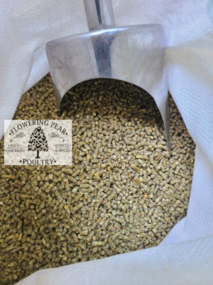 NON GMO Flowering Pear Poultry SPECIAL BLEND recipe WINTER blend LAYER Feed 19% protein Pellets