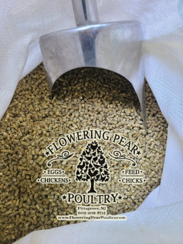 Flowering Pear Poultry NON-GMO &amp; SOY-FREE Layer Feed 17% protein. Pellets